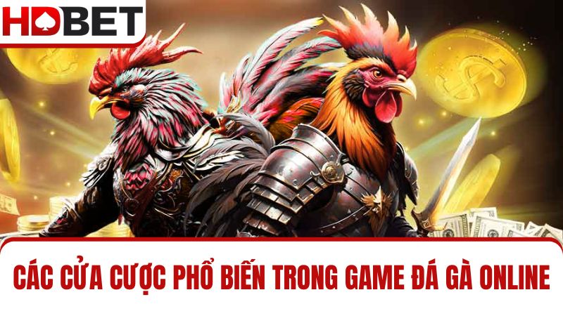 các cửa cược đá gà HDBET