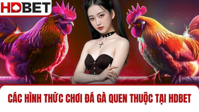 các hình thức đá gà HDBET