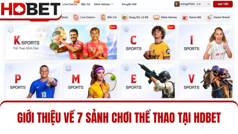 7 sảnh game thể thao HDBET